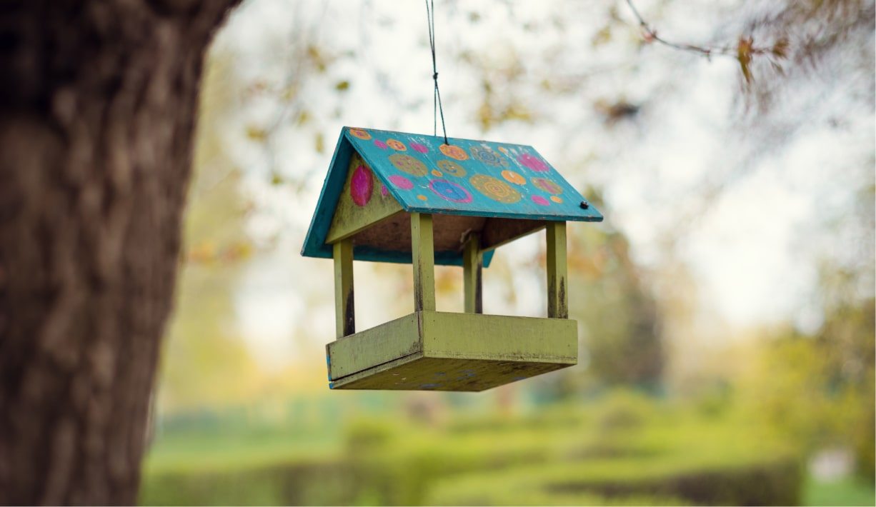 Build a bird feeder