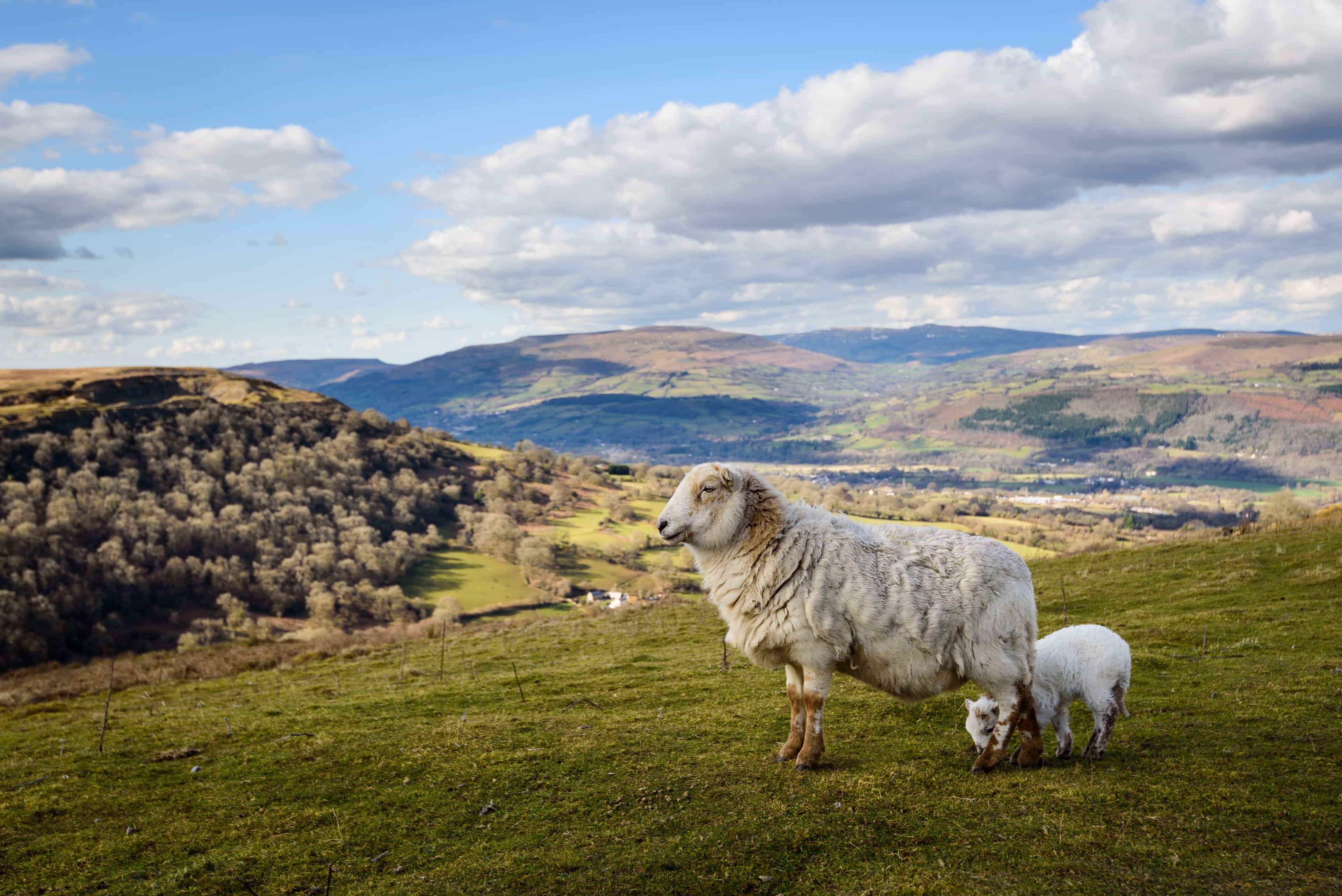Discover the best walks in the Brecon Beacons