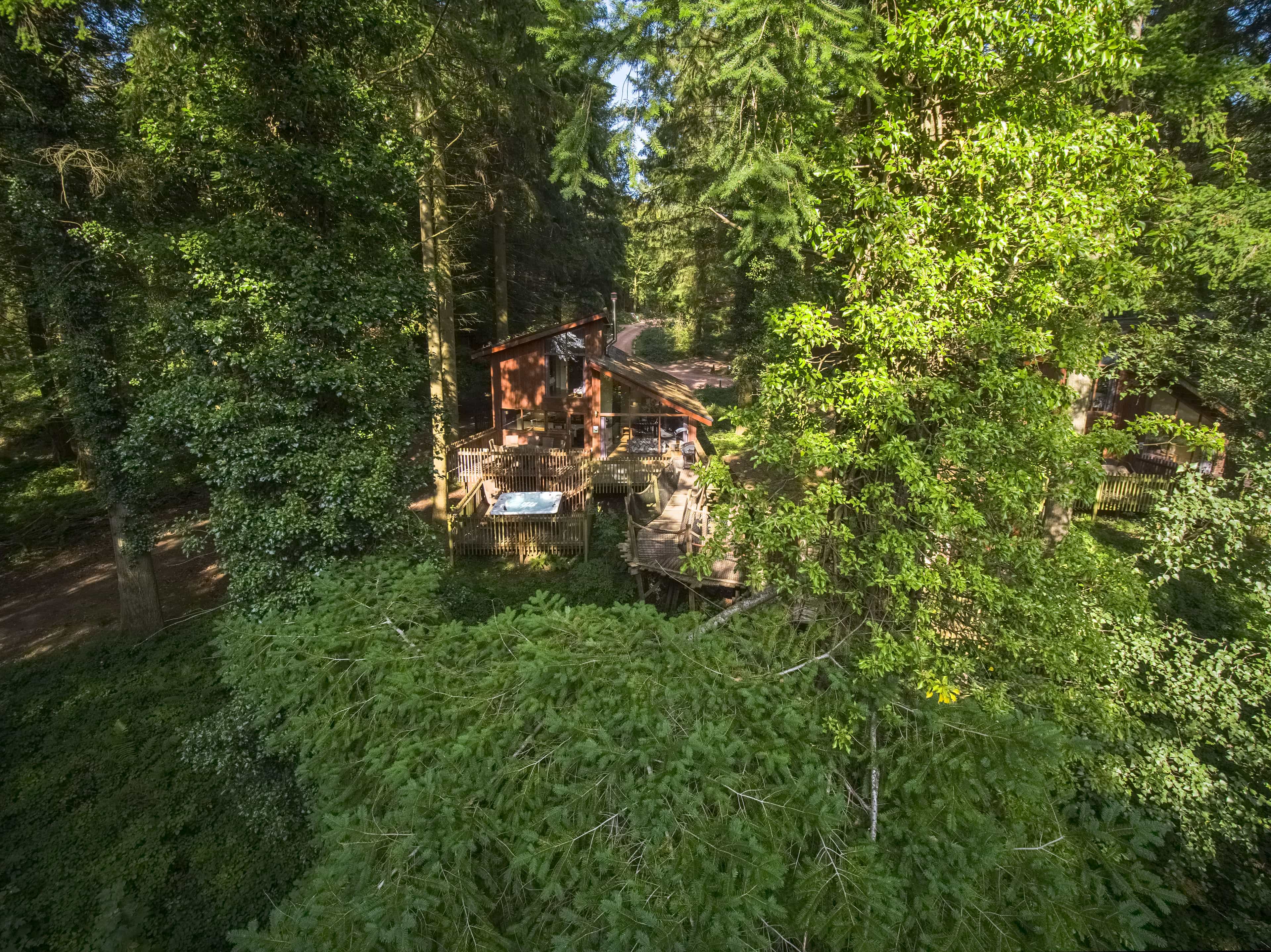 Golden Oak Treehouse at Forest of Dean, Gloucestershire