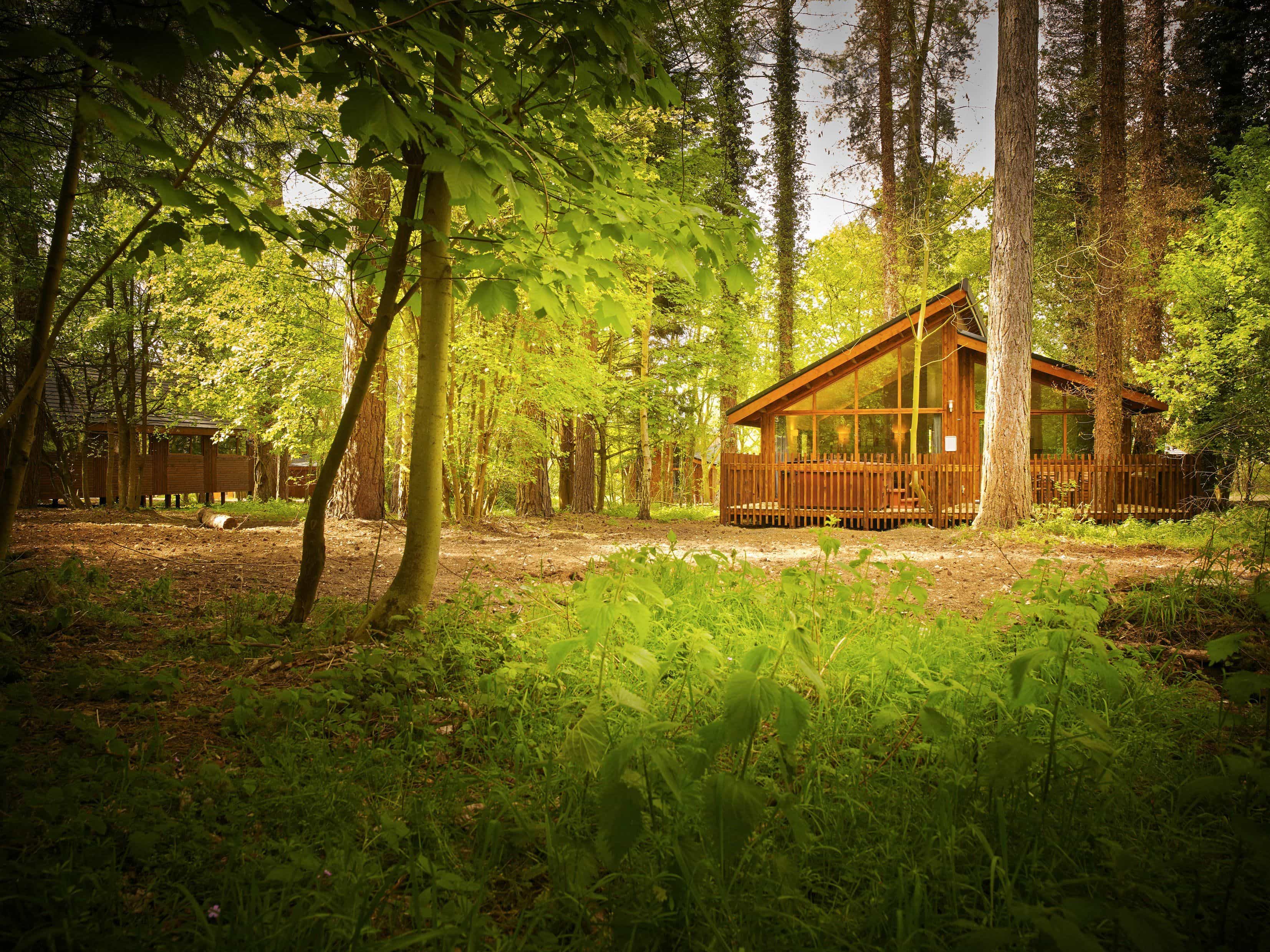 Plan your visit at Thorpe Forest, Norfolk