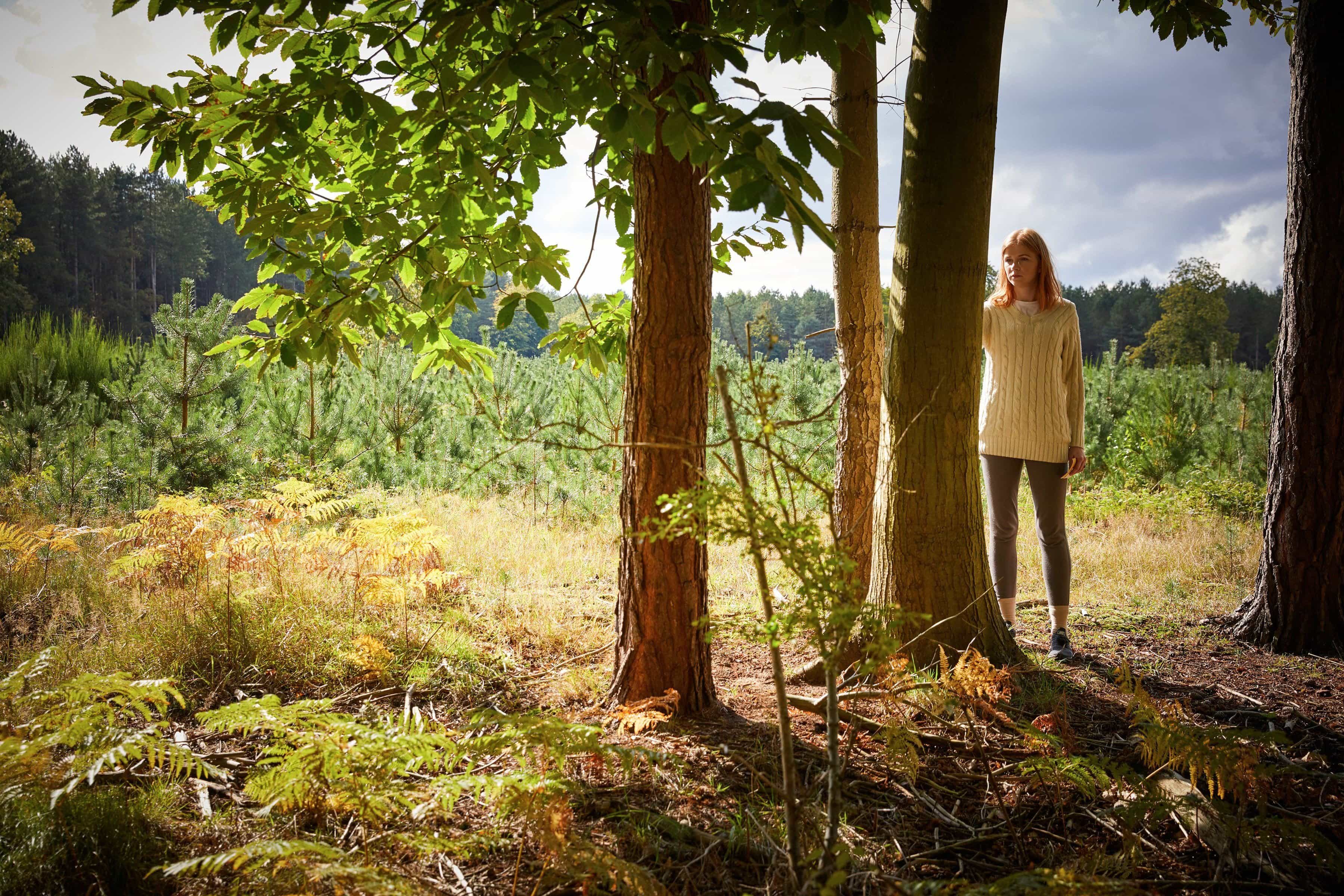What is Forest Bathing? 