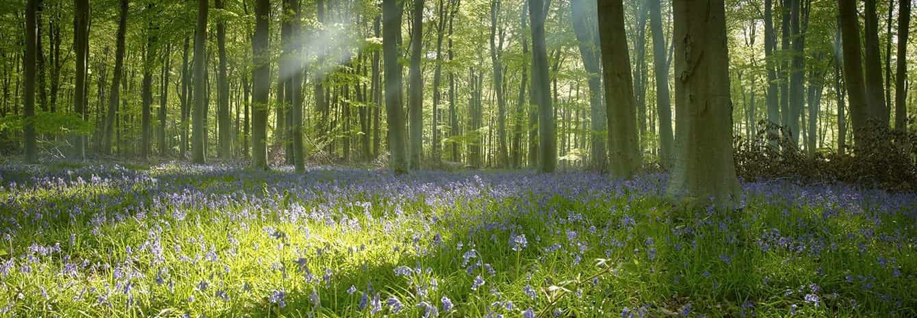 15 Signs That Spring is Here