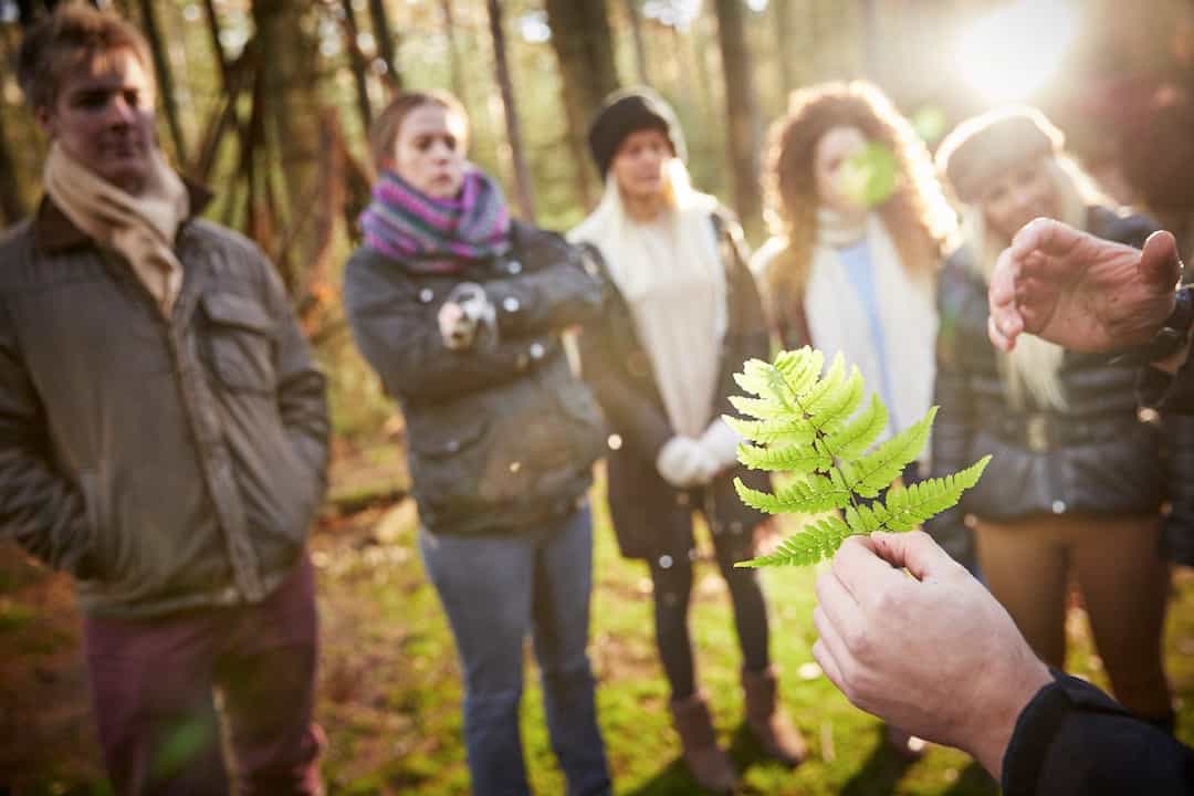 Forest Ranger Adventures & Activities | Forest Holidays