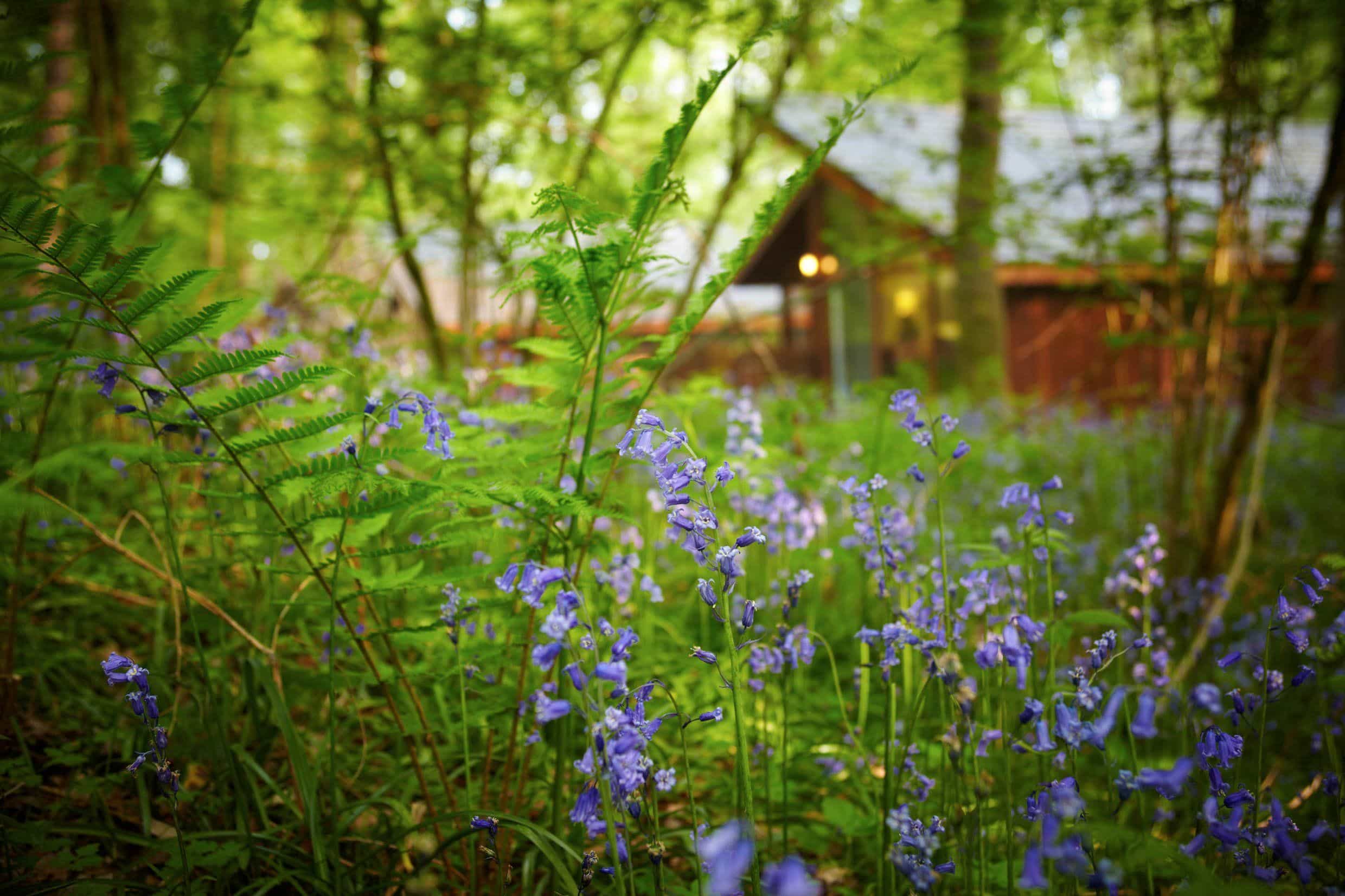 Spring Breaks UK | March, April & May Holiday Deals