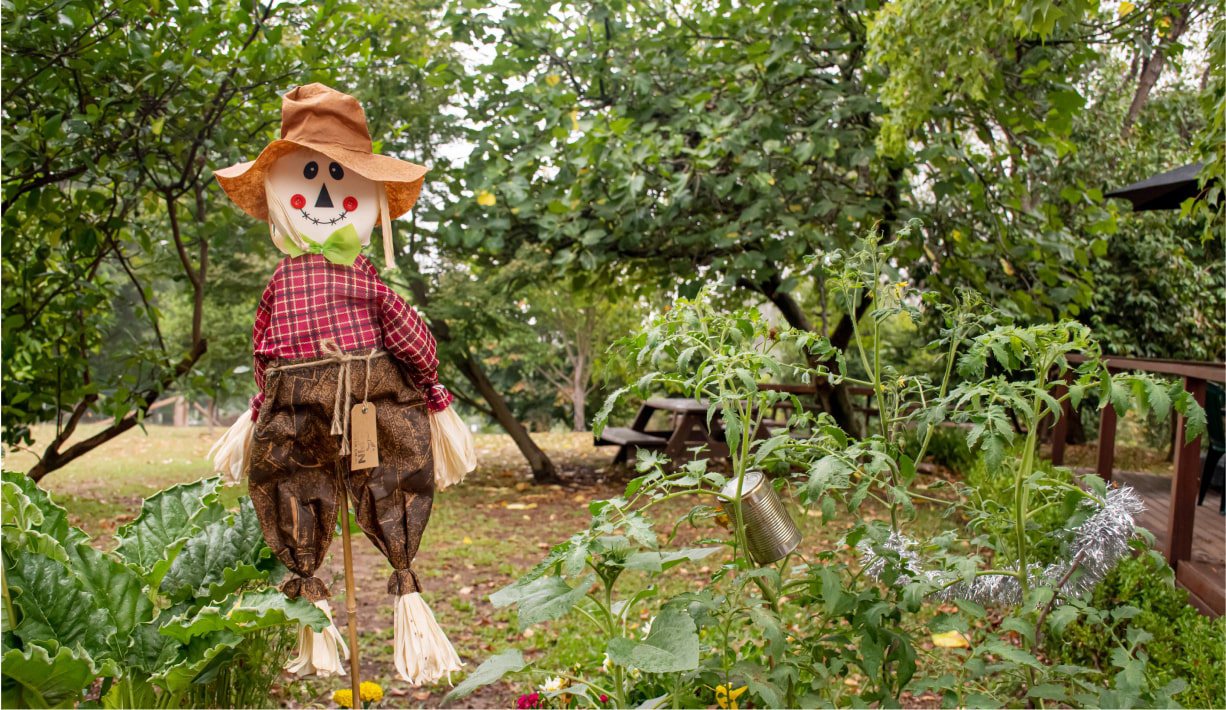 Build a scarecrow